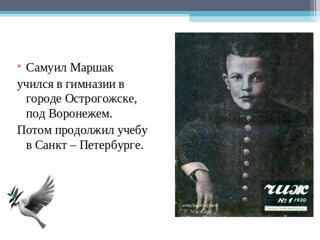 Самуил Маршакучился в гимназии в городе Острогожске, под Воронежем.Потом продолжил учебу в Санкт – Петербурге.