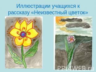 Иллюстрации учащихся к рассказу «Неизвестный цветок»