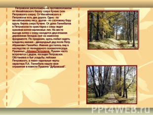 Петровское расположено на противоположном от Михайловского берегу озера Кучане (