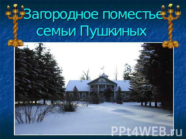 Загородное поместьесемьи Пушкиных