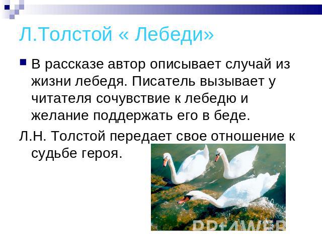 Л.Толстой « Лебеди» В рассказе автор описывает случай из жизни лебедя. Писатель вызывает у читателя сочувствие к лебедю и желание поддержать его в беде. Л.Н. Толстой передает свое отношение к судьбе героя.