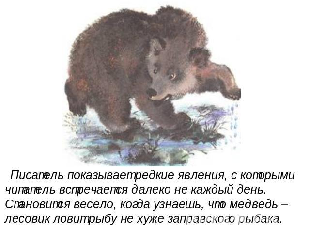 Писатель показывает редкие явления, с которыми читатель встречается далеко не каждый день. Становится весело, когда узнаешь, что медведь – лесовик ловит рыбу не хуже заправского рыбака.