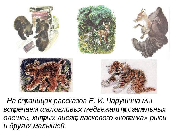 На страницах рассказов Е. И. Чарушина мы встречаем шаловливых медвежат, трогательных олешек, хитрых лисят, ласкового «котенка» рыси и других малышей.
