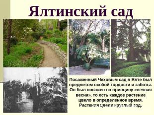 Ялтинский сад Посаженный Чеховым сад в Ялте был предметом особой гордости и забо