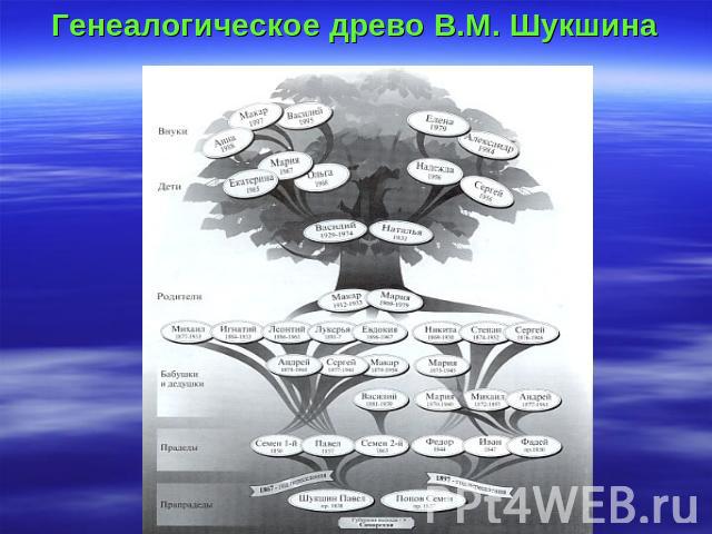 Генеалогическое древо В.М. Шукшина