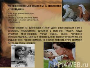 Женские образы в романе М. А. Шолохова«Тихий Дон» Есть лица, подобные пышнымпорт