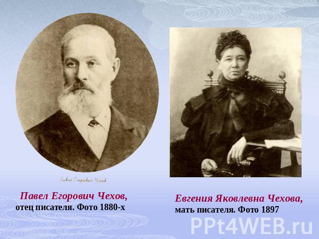   Павел Егорович Чехов, отец писателя. Фото 1880-х Евгения Яковлевна Чехова, мать писателя. Фото 1897