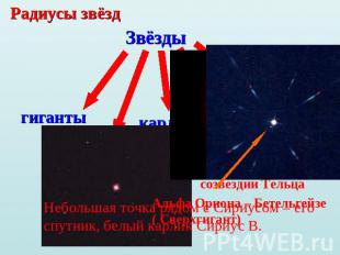 Радиусы звёздНебольшая точка рядом с Сириусом – его спутник, белый карлик Сириус