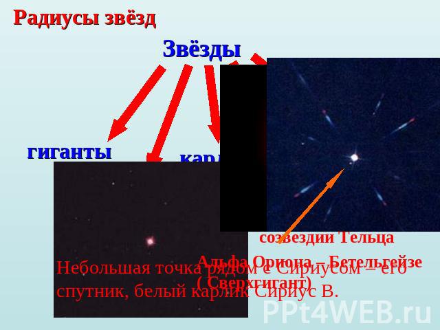 Радиусы звёздНебольшая точка рядом с Сириусом – его спутник, белый карлик Сириус B.
