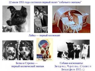 22 июля 1951 года состоялся первый полет "собачьего экипажа" Лайка — первый косм