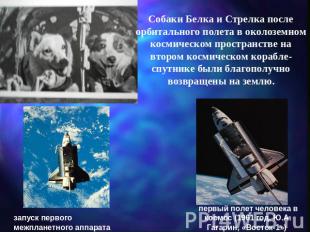Собаки Белка и Стрелка после орбитального полета в околоземном космическом прост