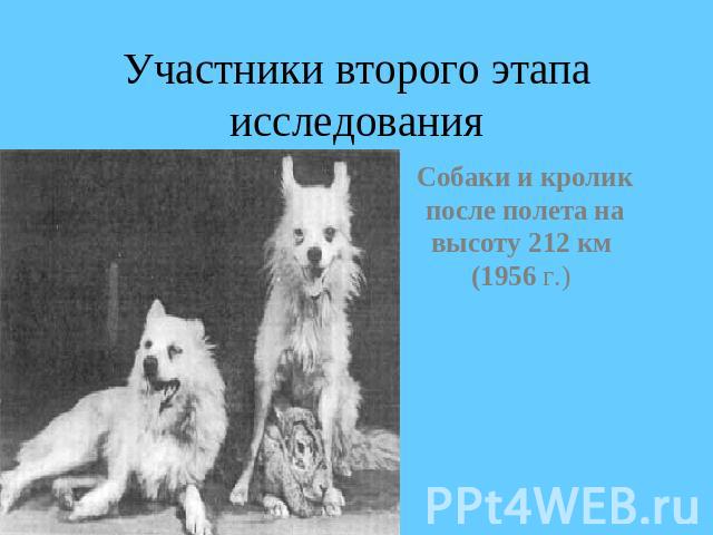 Участники второго этапа исследования Собаки и кролик после полета на высоту 212 км (1956 г.)