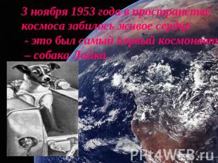 3 ноября 1953 года в пространстве космоса забилось живое сердце - это был самый