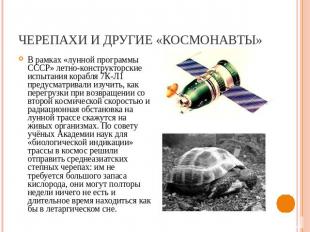 Черепахи и другие «космонавты» В рамках «лунной программы СССР» летно-конструкто