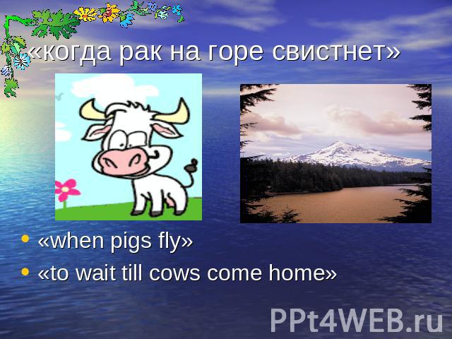 «когда рак на горе свистнет» «when pigs fly»«to wait till cows come home»
