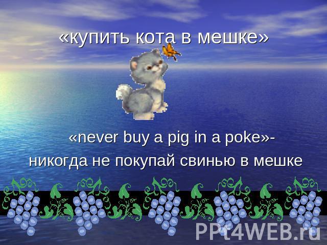 «купить кота в мешке» «never buy a pig in a poke»- никогда не покупай свинью в мешке