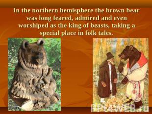 In the northern hemisphere the brown bear was long feared, admired and even wors