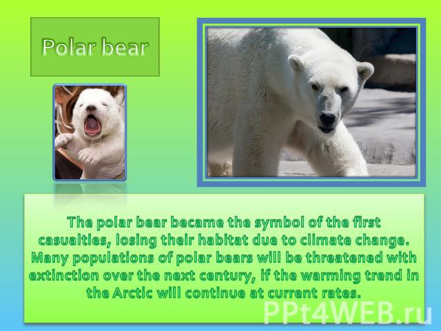 Polar bear The polar bear became the symbol of the first casualties, losing their habitat due to climate change. Many populations of polar bears will be threatened with extinction over the next century, if the warming trend in the Arctic will contin…