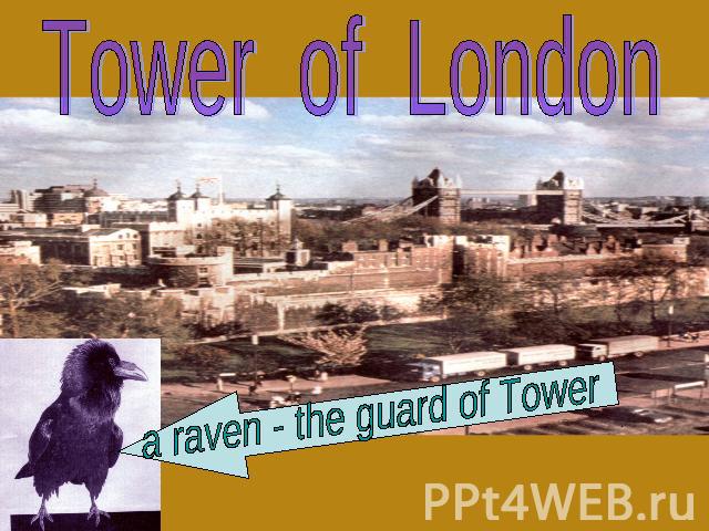Tower of Londona raven - the guard of Tower