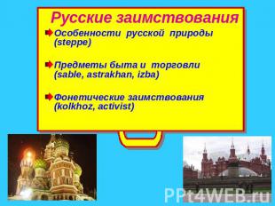 Русские заимствования Особенности русской природы (steppe)Предметы быта и торгов