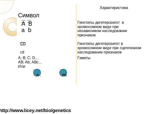 Генотипы дигетерозигот. Дигетерозигота имеет генотип. Дигетерозигота это в биологии. Пример дигетерозиготы.
