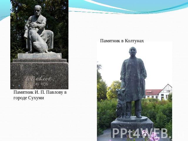 Памятник в Колтунах Памятник И. П. Павлову в городе Сухуми
