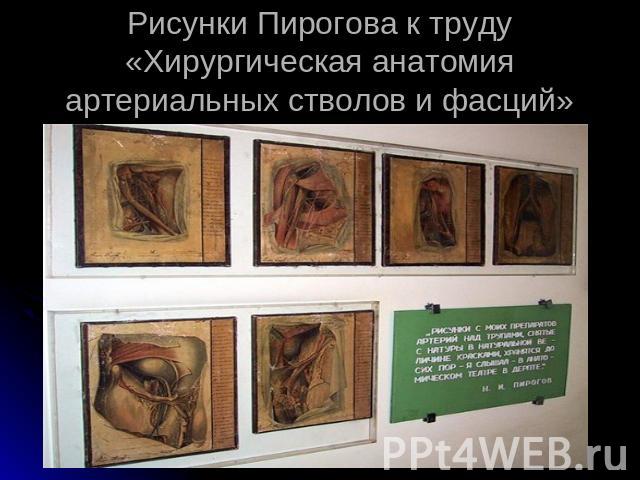 Рисунки Пирогова к труду «Хирургическая анатомия артериальных стволов и фасций»