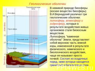 Геологические оболочки В неживой природе биосферы (косное вещество биосферы) В.И