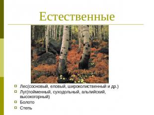 Естественные Лес(сосновый, еловый, широколиственный и др.)Луг(пойменный, суходол