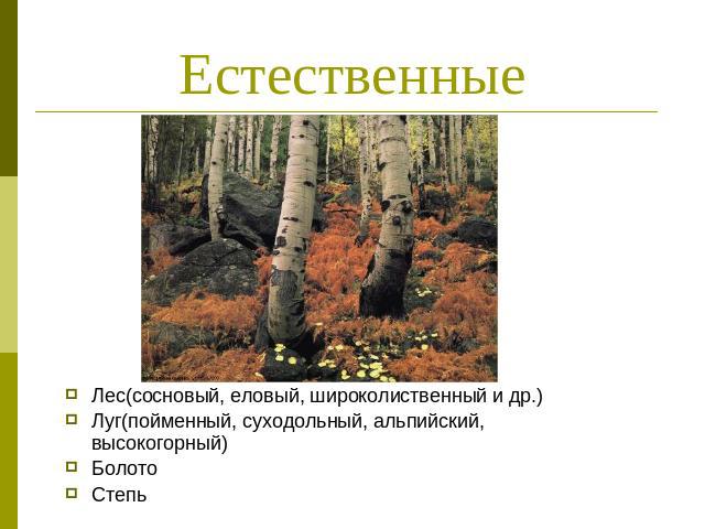 Естественные Лес(сосновый, еловый, широколиственный и др.)Луг(пойменный, суходольный, альпийский, высокогорный)БолотоСтепь