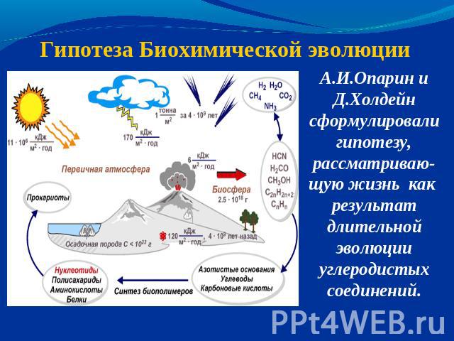 Гипотеза Биохимической эволюции А.И.Опарин и Д.Холдейн сформулировали гипотезу, рассматриваю-щую жизнь как результат длительной эволюции углеродистых соединений.