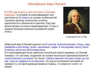 Метафизик Карл Линней В 1735 году вышла в свет его книга «Система природы», в ко