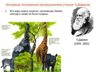 Основные положения эволюционного учения Ч.ДарвинаВсе виды живых существ, населяю