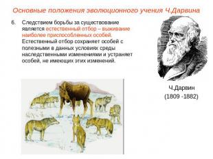 Основные положения эволюционного учения Ч.ДарвинаСледствием борьбы за существова