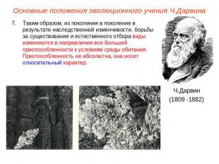 Основные положения эволюционного учения Ч.ДарвинаТаким образом, из поколения в п