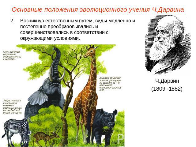 Основные положения эволюционного учения Ч.ДарвинаВозникнув естественным путем, виды медленно и постепенно преобразовывались и совершенствовались в соответствии с окружающими условиями. Ч.Дарвин(1809 -1882)