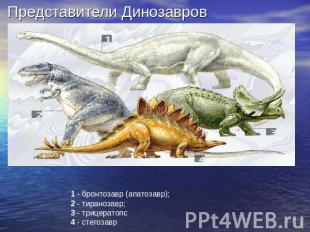 Представители Динозавров 1 - бронтозавр (апатозавр); 2 - тиранозавр; 3 - трицера