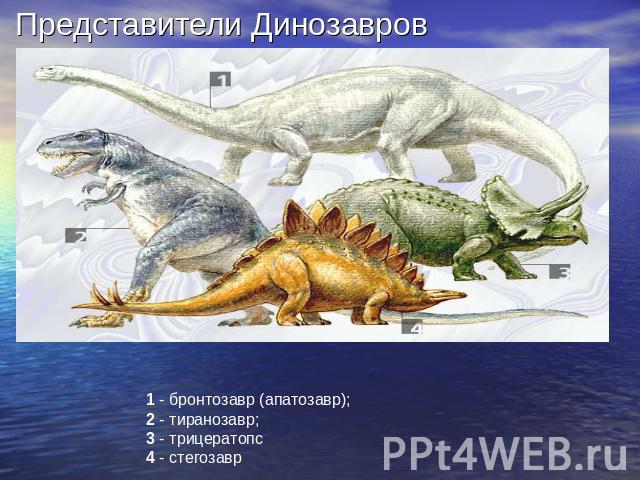 Представители Динозавров 1 - бронтозавр (апатозавр); 2 - тиранозавр; 3 - трицератопс 4 - стегозавр