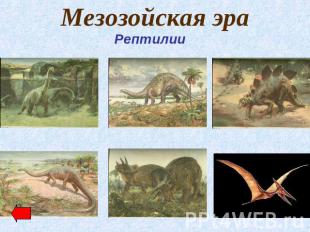 Мезозойская эра Рептилии