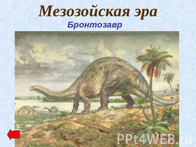 Мезозойская эра Бронтозавр