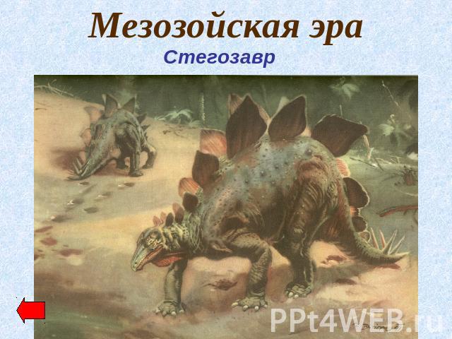 Мезозойская эра Стегозавр