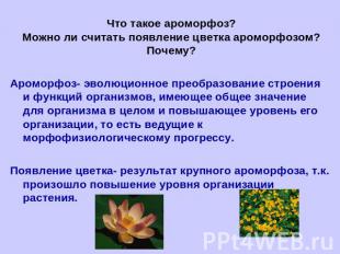 Что такое ароморфоз?Можно ли считать появление цветка ароморфозом? Почему? Аромо