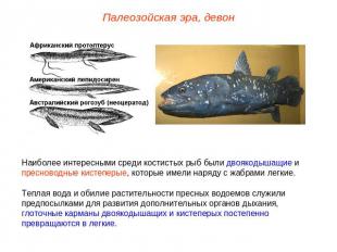 Палеозойская эра, девонНаиболее интересными среди костистых рыб были двоякодышащ