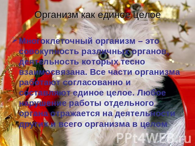 Организм как единое целоеМногоклеточный организм – это совокупность различных органов, деятельность которых тесно взаимосвязана. Все части организма работают согласованно и составляют единое целое. Любое нарушение работы отдельного органа отражается…