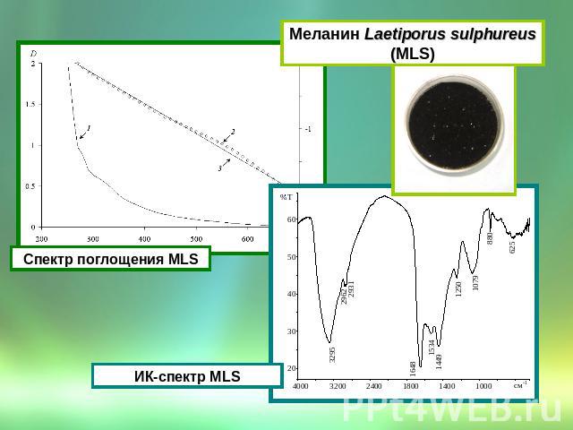 Меланин Laetiporus sulphureus (МLS)Спектр поглощения МLSИК-спектр МLS