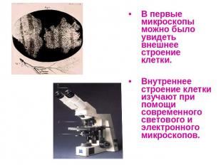 В первые микроскопы можно было увидеть внешнее строение клетки.Внутреннее строен