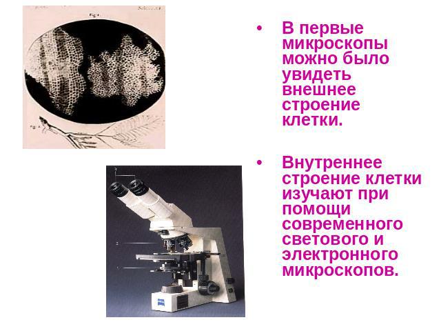 В первые микроскопы можно было увидеть внешнее строение клетки.Внутреннее строение клетки изучают при помощи современного светового и электронного микроскопов.