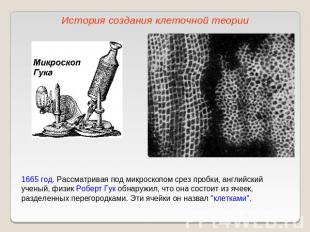 История создания клеточной теории1665 год. Рассматривая под микроскопом срез про