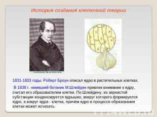История создания клеточной теории1831-1833 годы. Роберт Броун описал ядро в раст