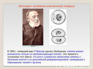 История создания клеточной теорииВ 1855 г. немецкий врач Р.Вирхов сделал обобщен